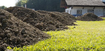 Trüffelplantage